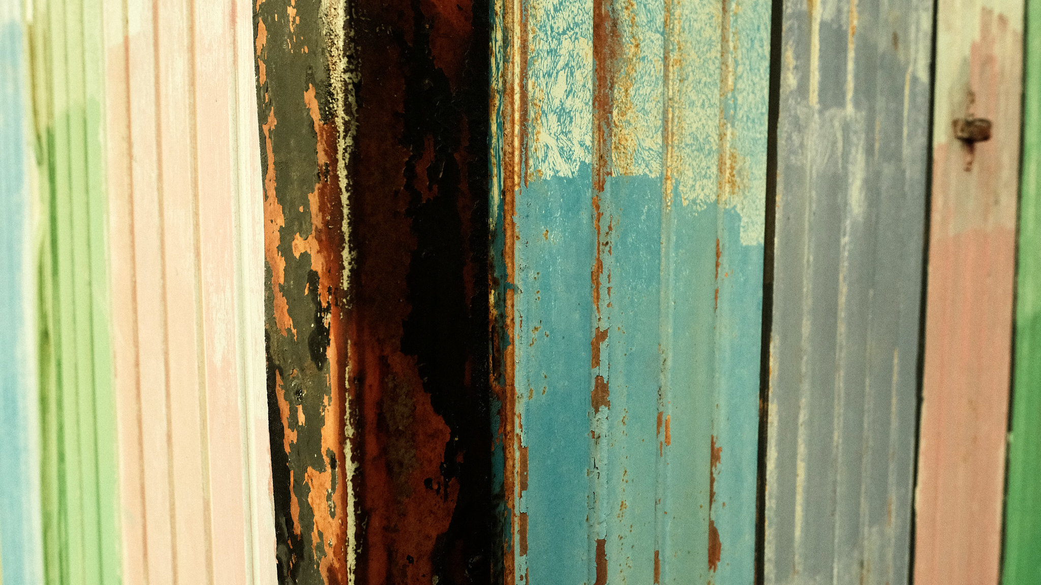 milasta-pct-67b788d728a78-17